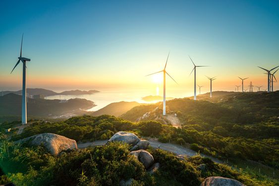 Investing in Renewable Energy Stocks in 2024